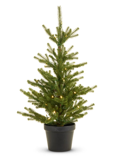 36" Lighted Potted Fir Tree