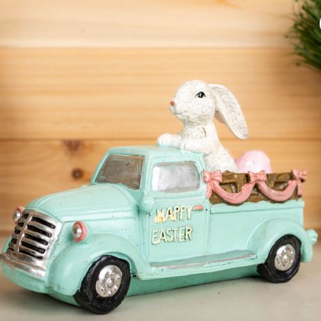 Rabbit In Car