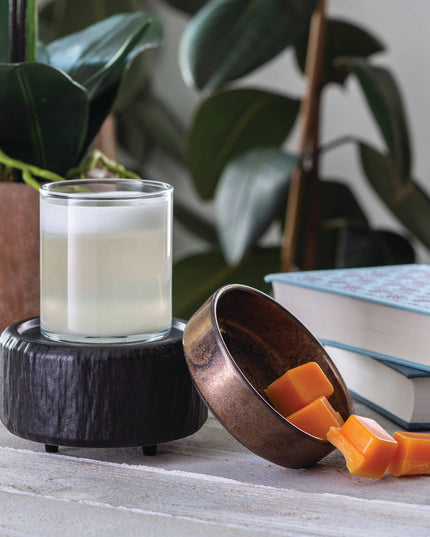 Primitive Black 2-in-1 Classic Warmer