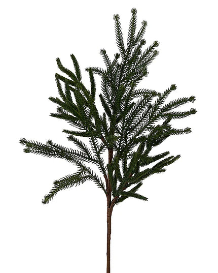 24"L Willow/Norfolk Pine Spray