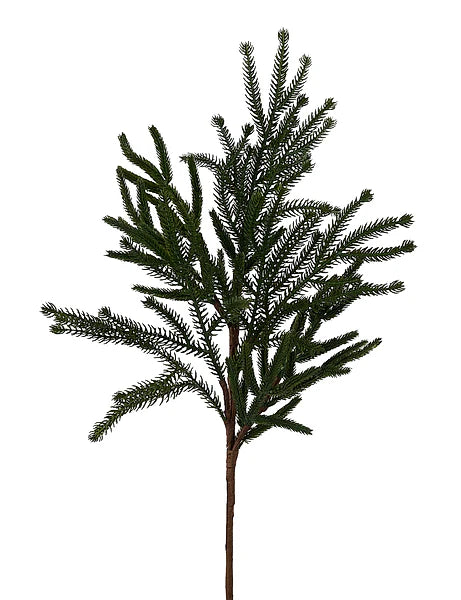24"L Willow/Norfolk Pine Spray