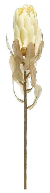 21" Protea Wheat
