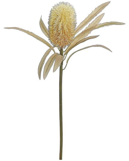 23.5" Protea Wheat