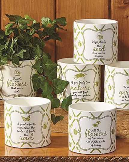 Garden Cachepot