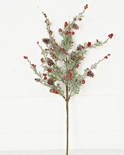 Icy Sparkle Cypress Pine w/ Pepperberry