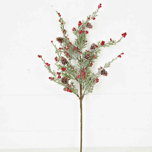 Icy Sparkle Cypress Pine w/ Pepperberry