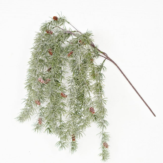 Sparkle Dripping Bush Blossom Needle Pine