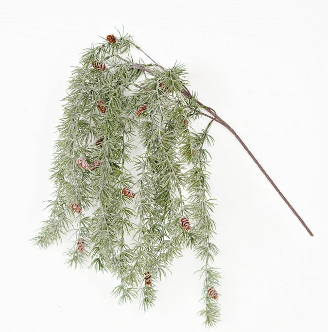 Sparkle Dripping Bush Blossom Needle Pine