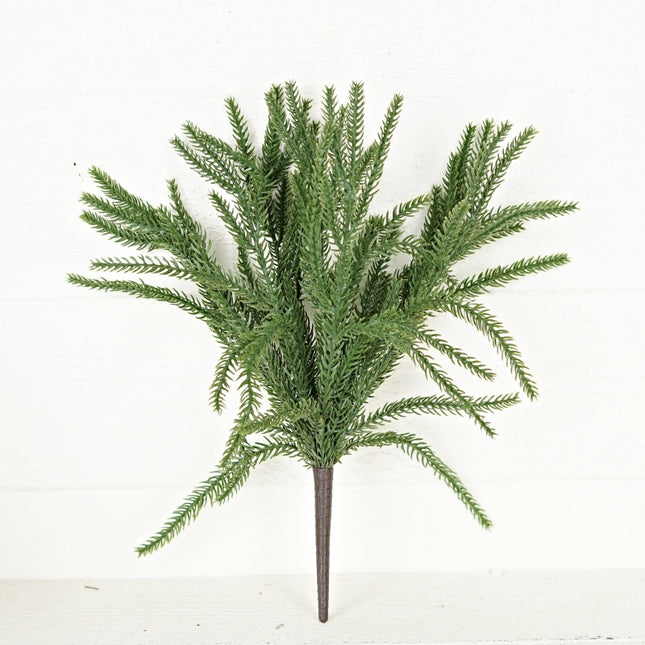 15in Bush-Soft Touch Norfolk Pine (Multiple Options)
