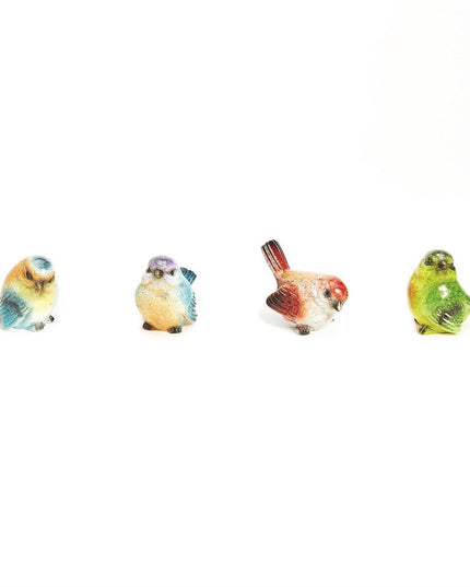 Birds assorted color