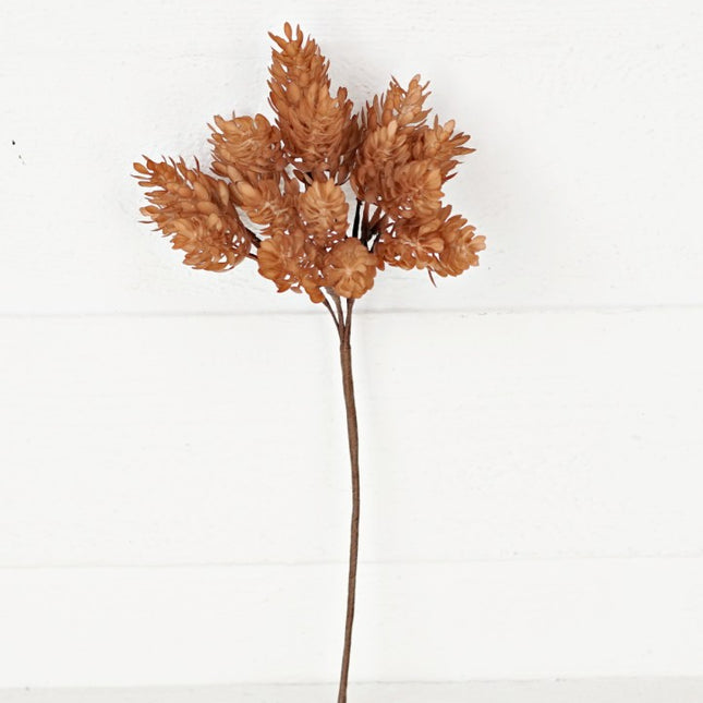 14" Bush Mix Hops Latte