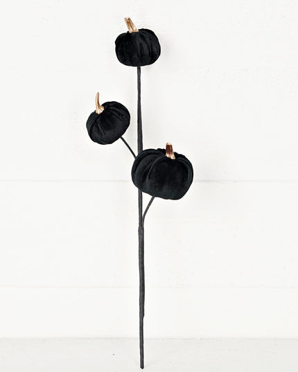 5in Pick-Black-Velvet gold stem mini pumpkin