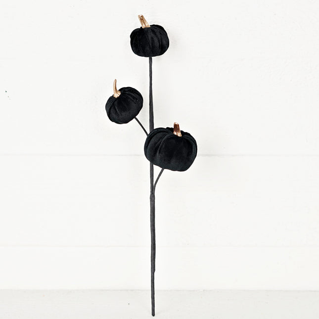 5in Pick-Black-Velvet gold stem mini pumpkin