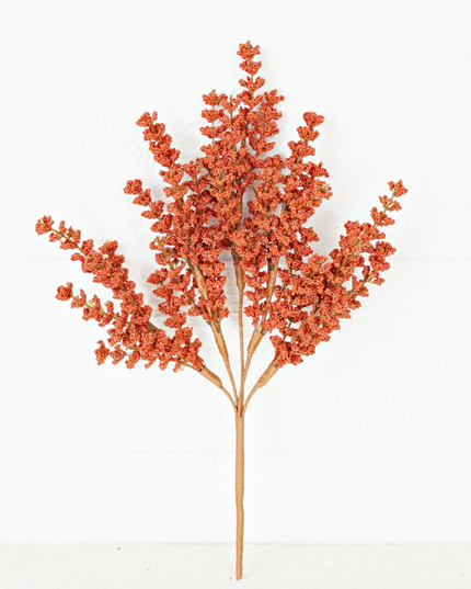 14" Pumpkin Millet Berry Heather