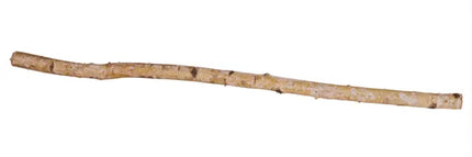 49.25"L x 1.5"Dia Birch Log