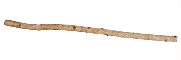 49.25"L x 1.5"Dia Birch Log