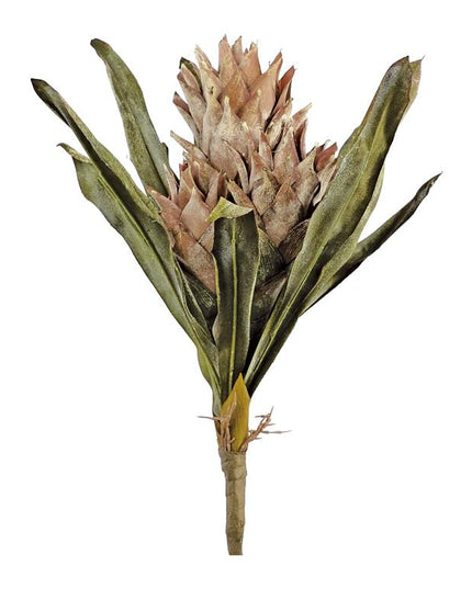 Dried Protea Bundle 19"