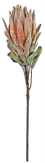32" Protea Spray - Rust