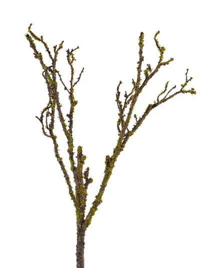 28" Branch w/ Moss