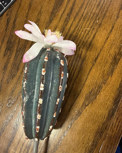 Faux Blooming Cactus Stems