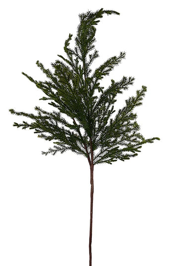 45.25"L Cedar Spray