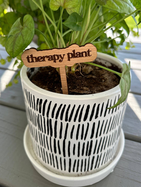 New Plant Sayings Word Bubbles Funny Plant Stakes