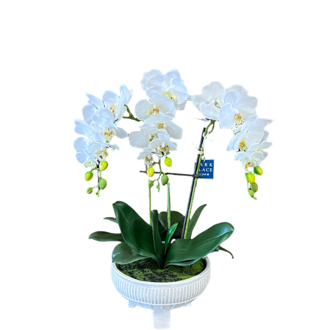Phalaenopsis Plant 22" Faux in Ceramic Pot image 0