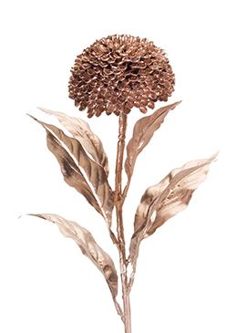 Allium Stem 27"