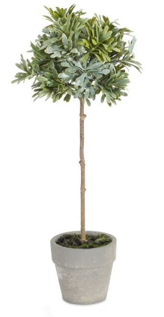Potted Herb 11"H