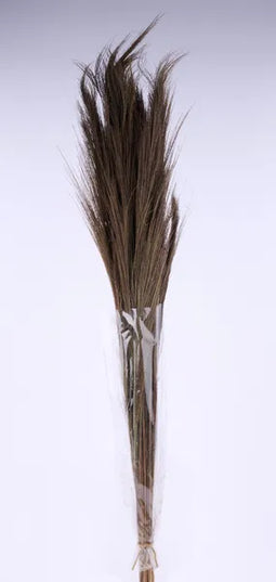 43.25"L Broom Grass Bundle, 300G