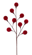 cranberry