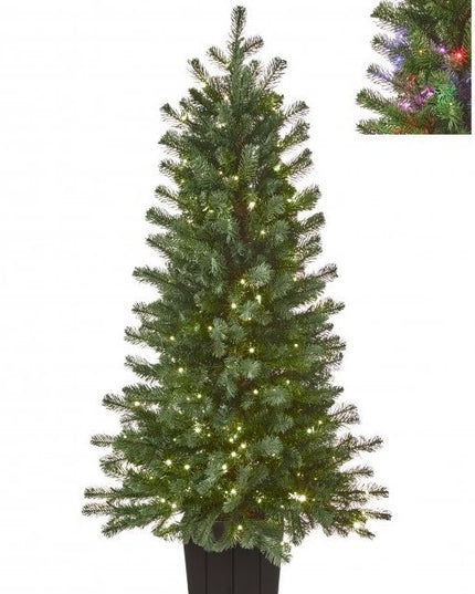 4'DUAL3mmLED PTD STONEHILL TREEx620T24"D200L