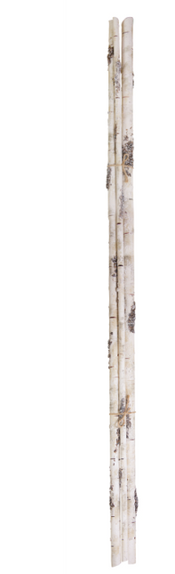 Birch Branch Bundle 58.5"