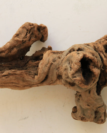 Tumbled Grapewood Log