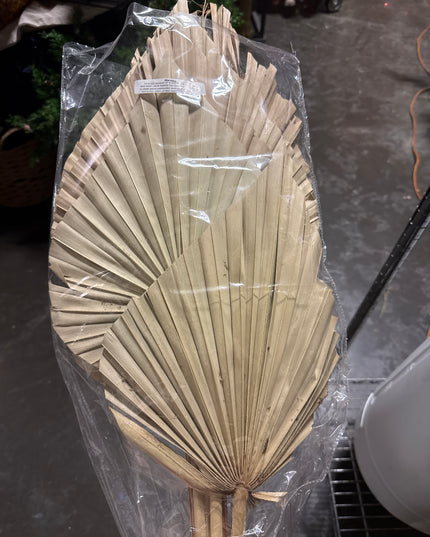 Palm Spear Natural