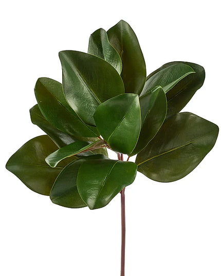 16"L Magnolia Leaf Pick