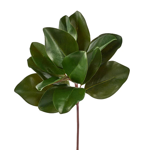 16"L Magnolia Leaf Pick