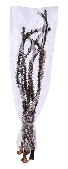 15.75"L Banana Stem Bundle x 7