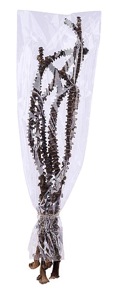 15.75"L Banana Stem Bundle x 7