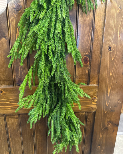 36" Norfolk Pine Teardrop