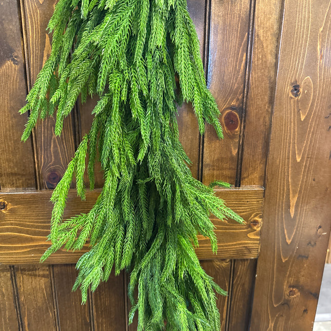 36" Norfolk Pine Teardrop