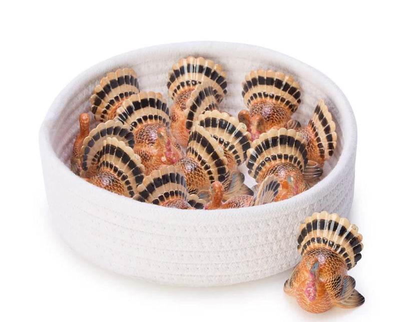 Hand-Painted Turkey