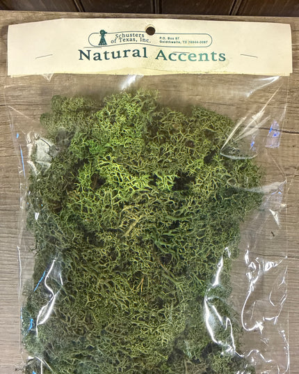 Reindeer Moss By Schuester's