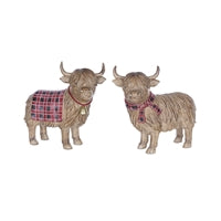 Highland Cow (Assorted Styles)