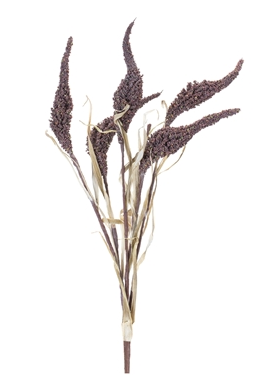 Seeded Bush