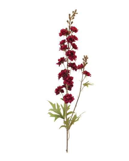 Delphinium 34"