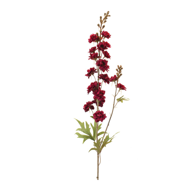 Delphinium 34"