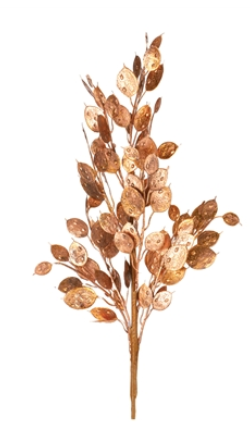 Silver Dollar Bush 26" Copper