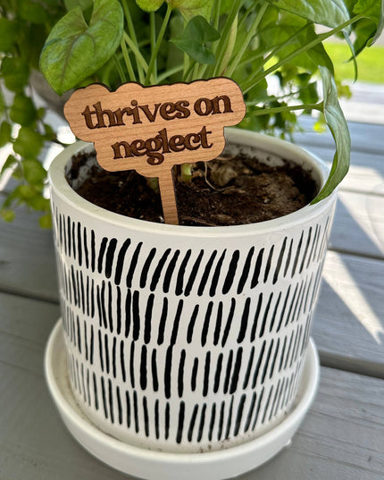 New Plant Sayings Word Bubbles Funny Plant Stakes