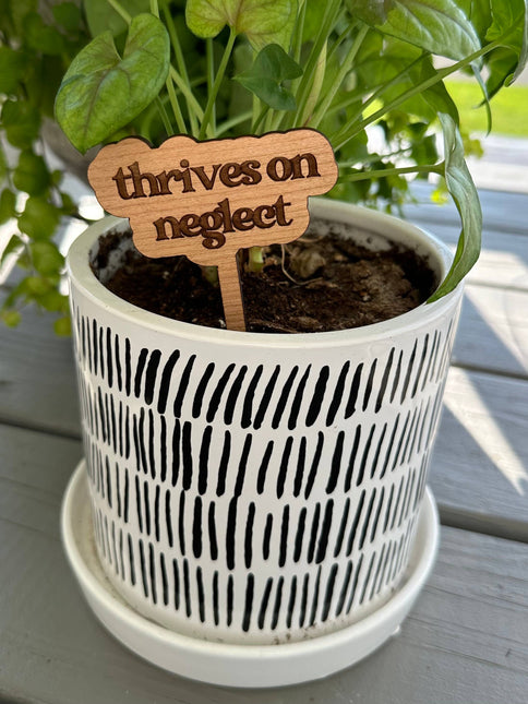 New Plant Sayings Word Bubbles Funny Plant Stakes